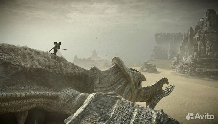 Shadow of The Colossus PS4/PS5 на русском