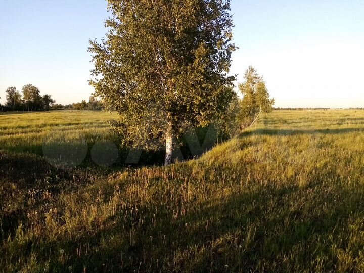 Участок 10 сот. (ИЖС)