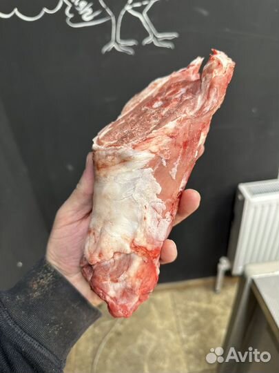 Баранина лопатка Халяль опт