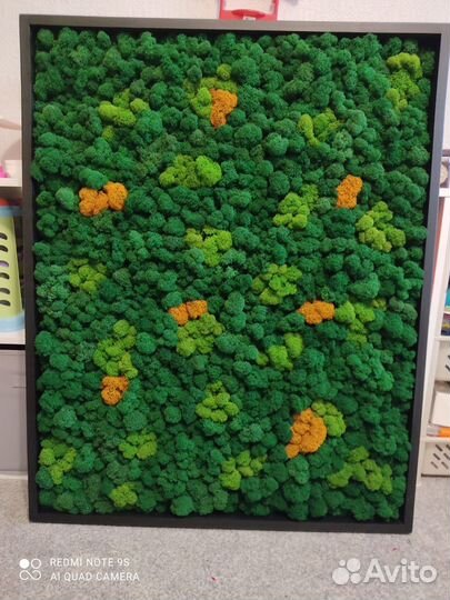 Стабилизированный мох. Озеленение. Фитодизайн