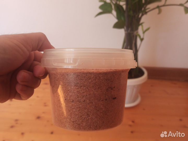 Корм для рыб