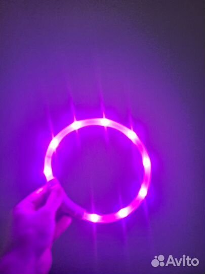 Светящийся ошейник