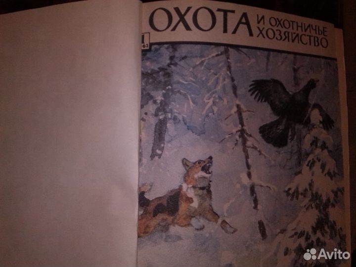 Охота,рыбалка. Кролиководство