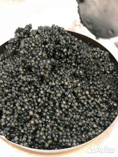 Икра черная Астраханская