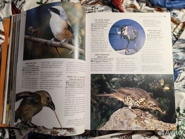 Книга о природе, Reader's Digest (раритет)