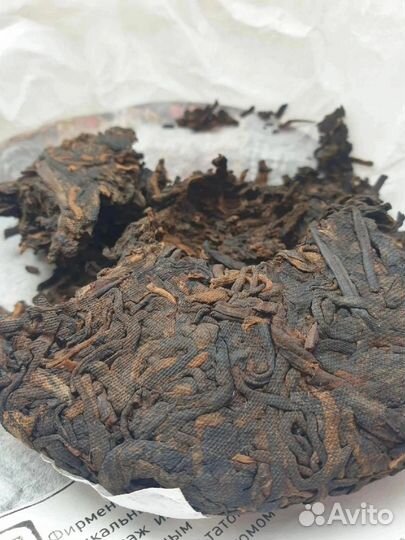 Тигр 2021 год