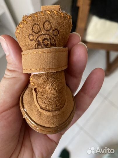 Зимняя обувь для собак