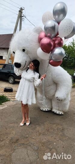 Поздравление: Белый мишка, панда, зайка и др