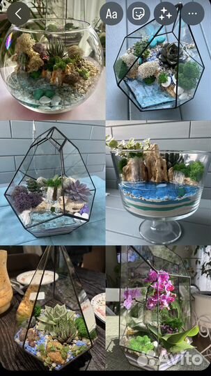 Флорариум- подарок