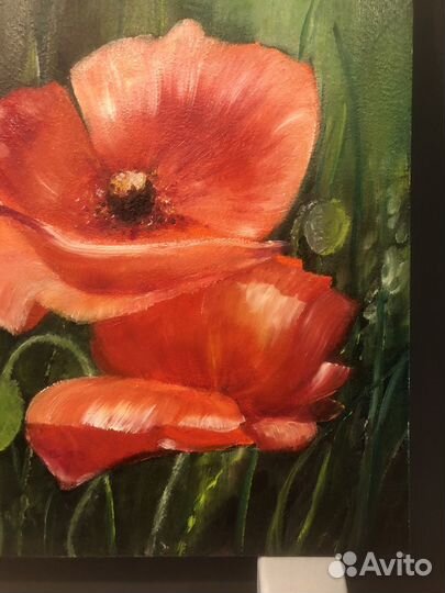 Картина маслом, красные маки, мдф 30х40