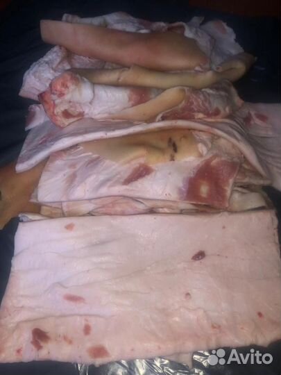 Шкура Самовывоз