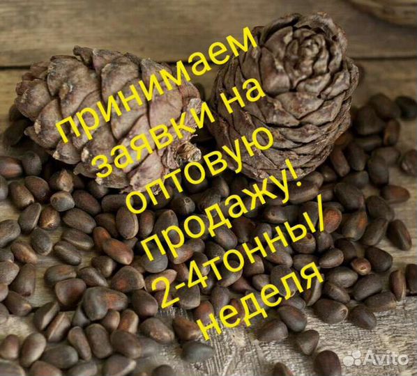 Кедровый орех