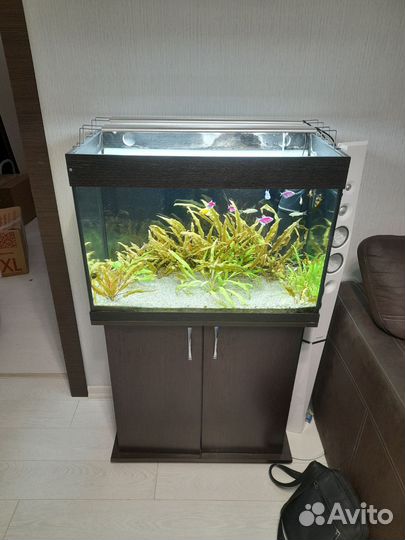 Аквариум