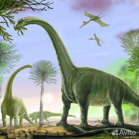 Авторские фотообои 