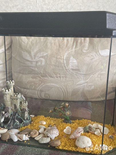 Аквариум