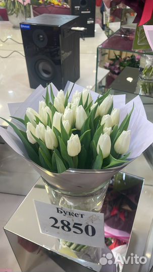 Свой человек в Питере, Курьер, Разовая Доставка