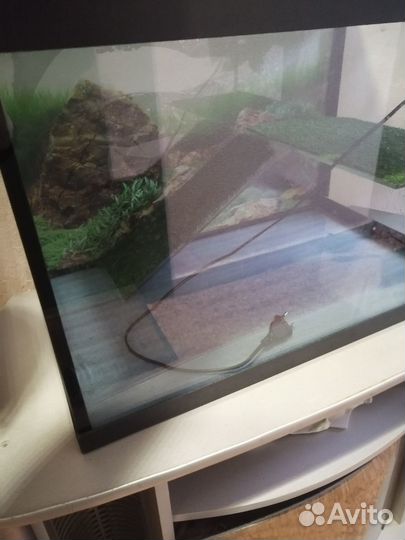 Террариум для черепахи