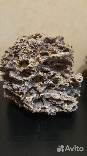 Камень Песчаник пещеристый