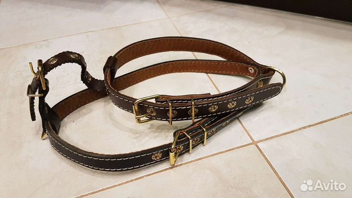 Поводки, ошейник и шлейка для собак