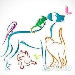 Ветеринарный специалист, с выездом на дом