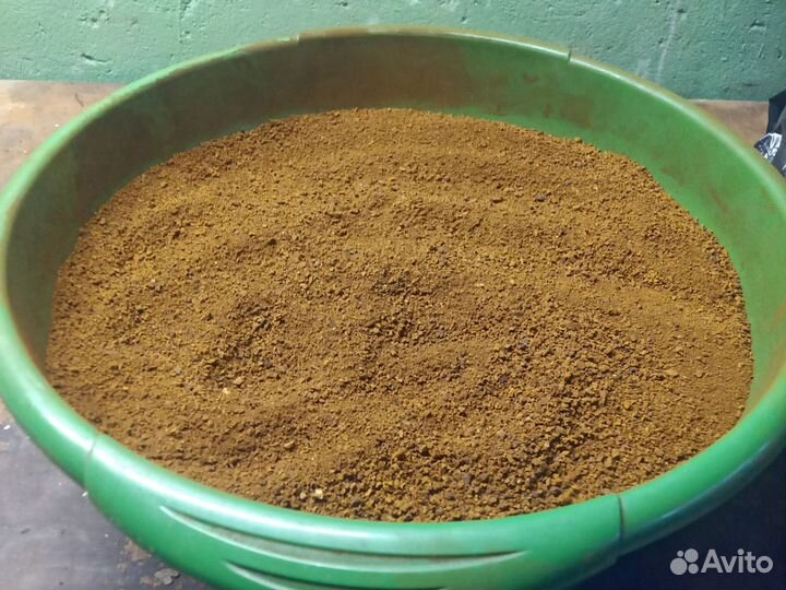 Чага березовая