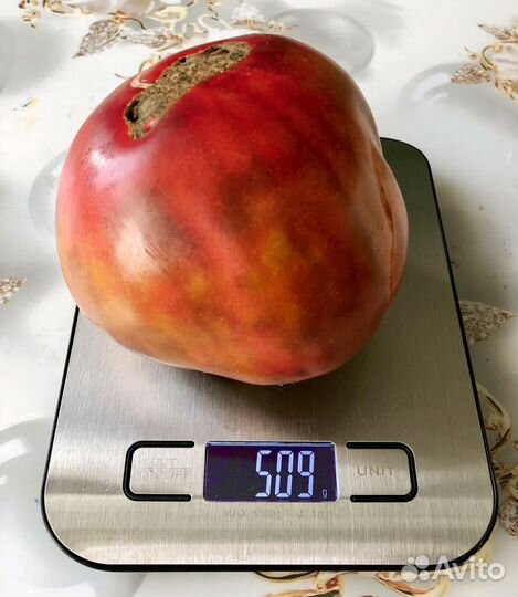 Семена томата Тайга,Черный Ананас