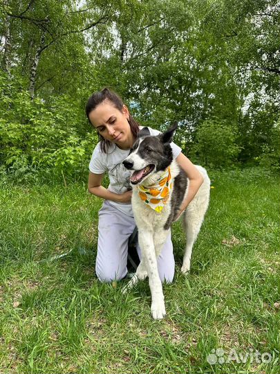 Подарите Тимону счастливую жизнь вне приюта