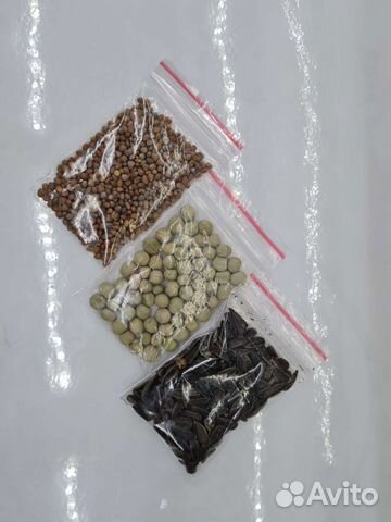 Семена для микрозелени