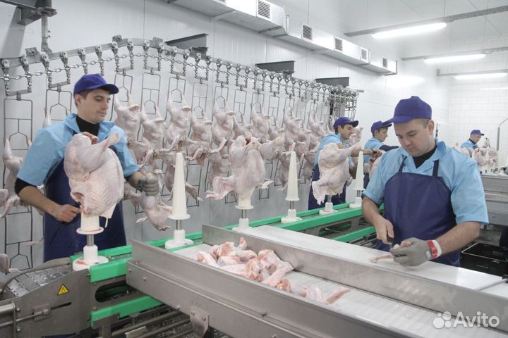 Разнорабочие в мясной цех(индейка) Вахта Без опыта