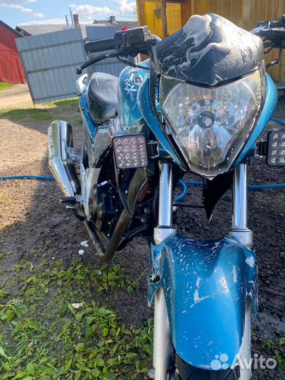 Stels flex 250