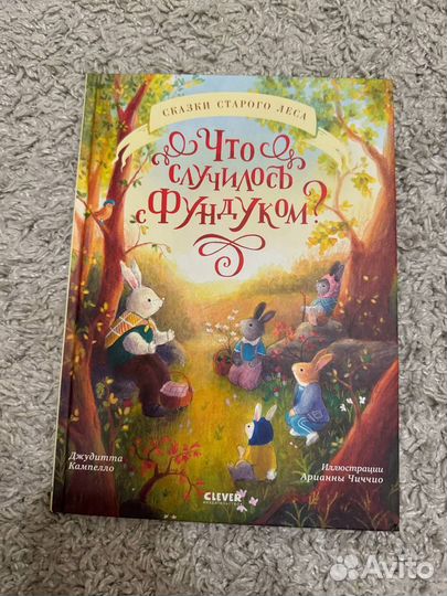 Книга Что случилось с Фундуком