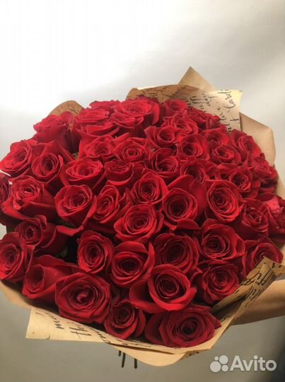 Розы 51 штука 60 см Эквадор