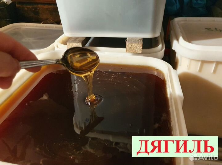 Мёд дягиль. Свежий 2023г. От пчеловода