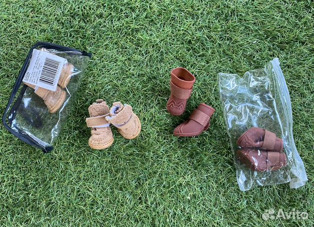 Обувь для маленьких собак