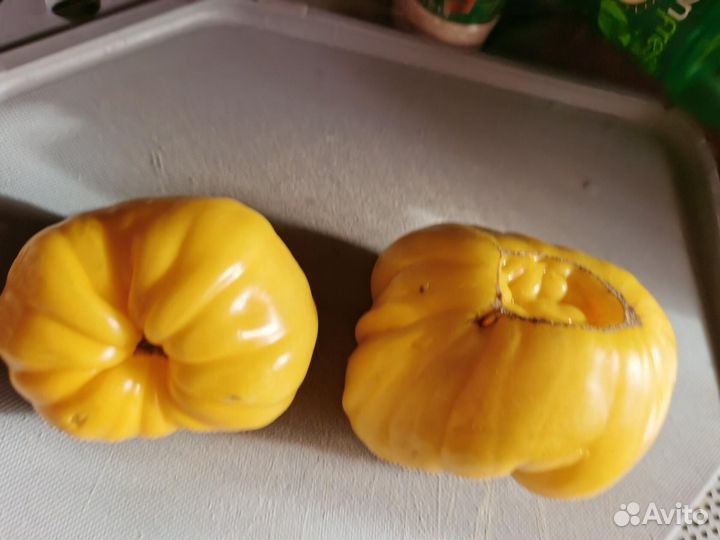 Семена Помидор