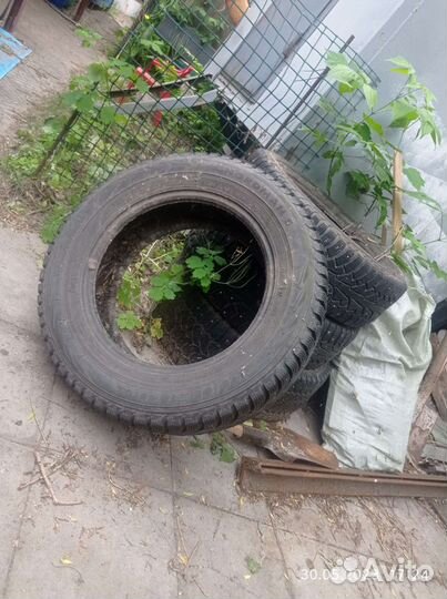 Nordman WR 195/65 R15 30B