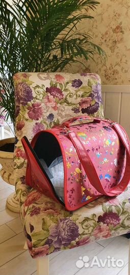 Переноска для кошек. Аренда