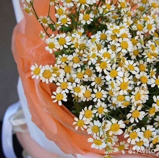 Букеты. Доставка ромашек
