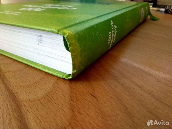 100 советов мэру