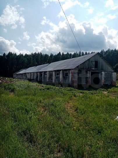 Участок 3,5 га (СНТ, ДНП)