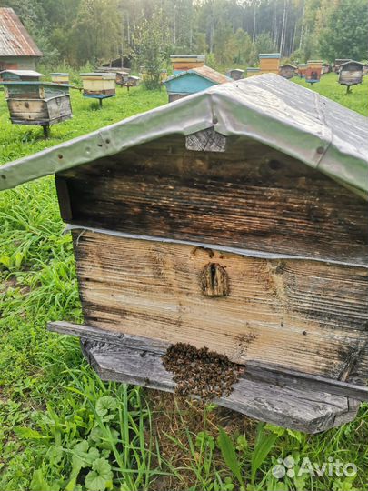 Ульи для пчел