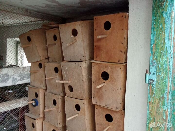 Домик для попугаев