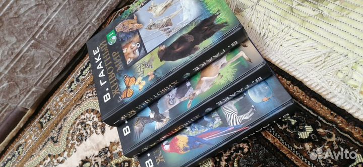 Атлас животный мир