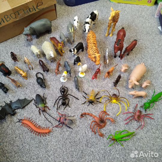 Животные, птицы, насекомые