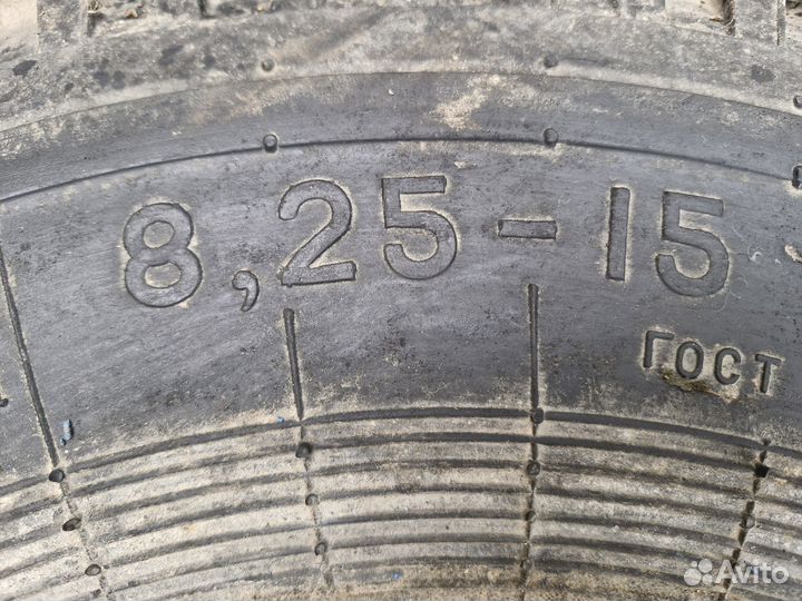 А/шина 8,25-15 лф-268