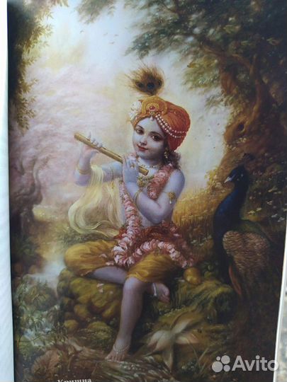 Книга Высший вкус