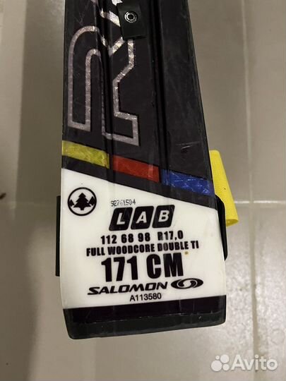 Горные лыжи