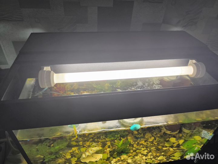 Аквариум и рыбки