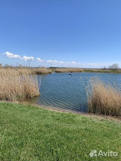 Дальний кордон