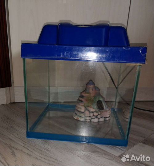 Аквариум